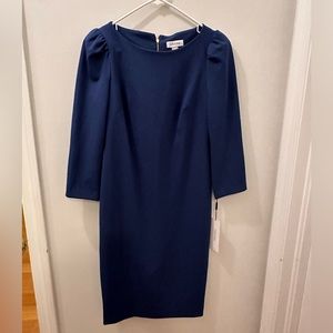 New Calvin Klein Sheath 3/4 Sleeve Dress